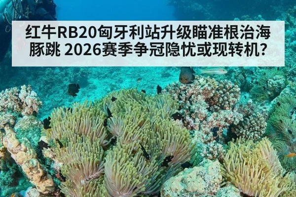 红牛RB20匈牙利站升级瞄准根治海豚跳 2026赛季争冠隐忧或现转机?