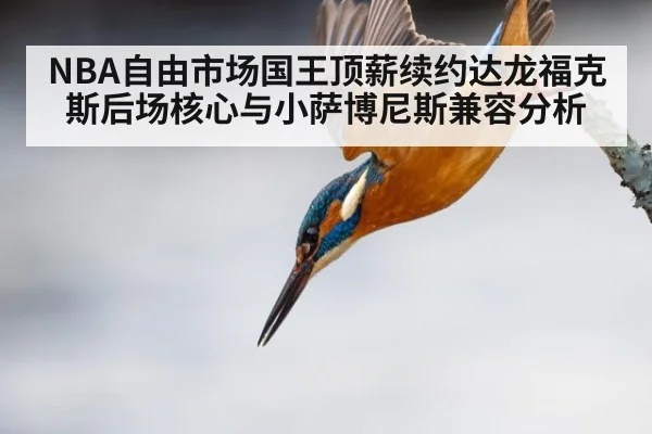 NBA自由市场国王顶薪续约达龙福克斯后场核心与小萨博尼斯兼容分析