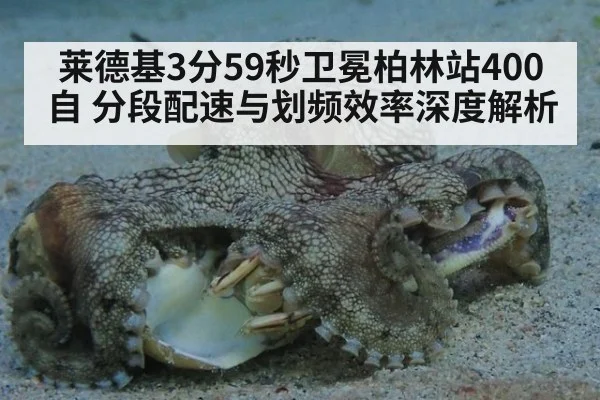 莱德基3分59秒卫冕柏林站400自 分段配速与划频效率深度解析