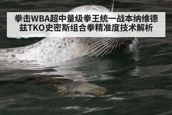 拳击WBA超中量级拳王统一战本纳维德兹TKO史密斯组合拳精准度技术解析