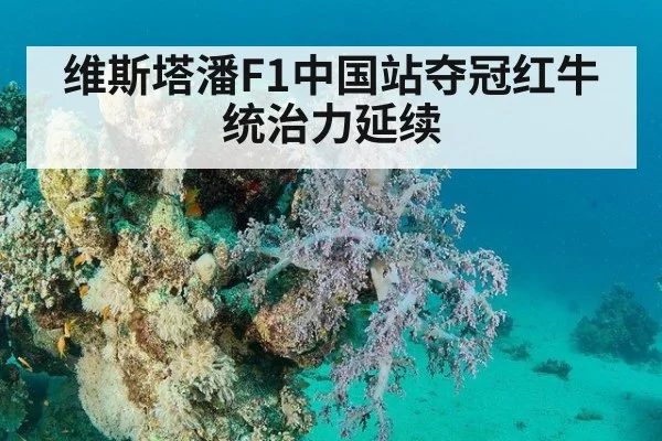 维斯塔潘F1中国站夺冠红牛统治力延续